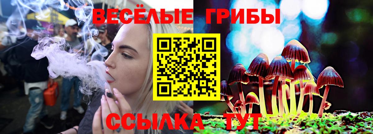 Псилоцибиновые грибы мухоморы Тында